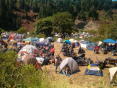 Redwoodrun2005