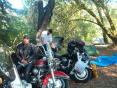 Redwoodrun2005